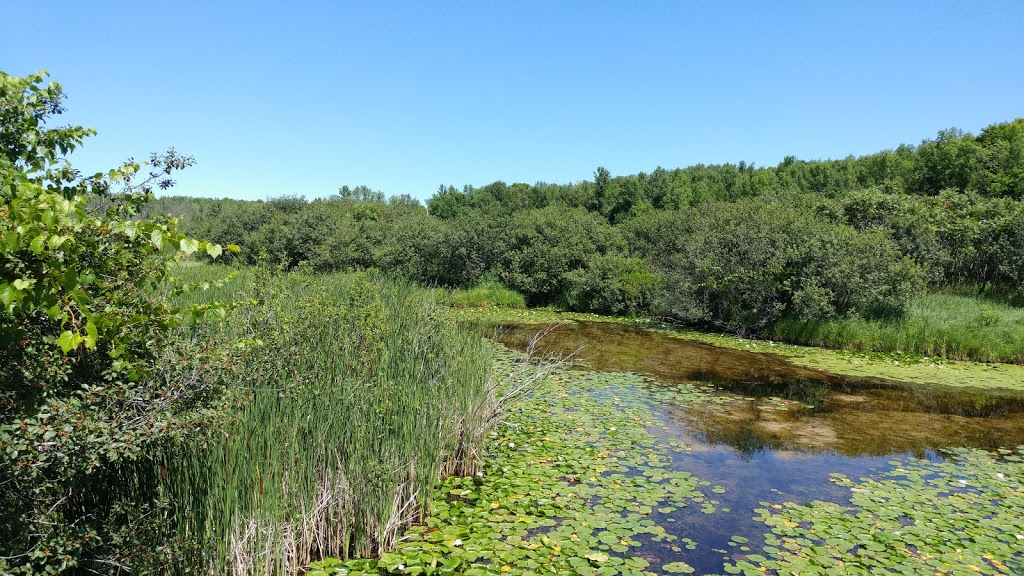 Wye Marsh Wildlife Centre | 16160 Highway 12 East, Midland, ON L4R 4K6, Canada | Phone: (705) 526-7809