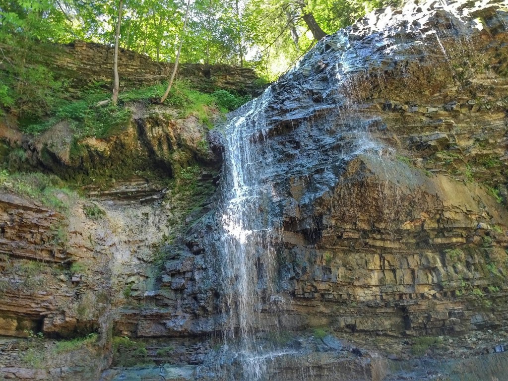 Dundas Valley Conservation Area | 650 Governors Rd, Dundas, ON L9H 5E3, Canada | Phone: (905) 627-1233