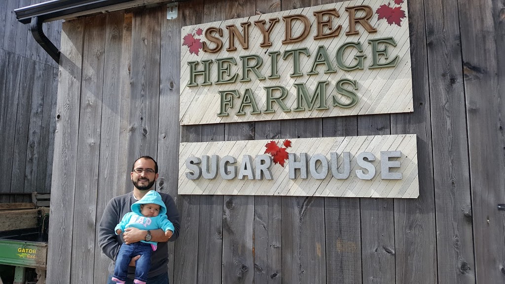 Snyder Heritage Farms | 1213Maple, Bend Road, Bloomingdale, ON N0B 1M0, Canada | Phone: (519) 741-1447