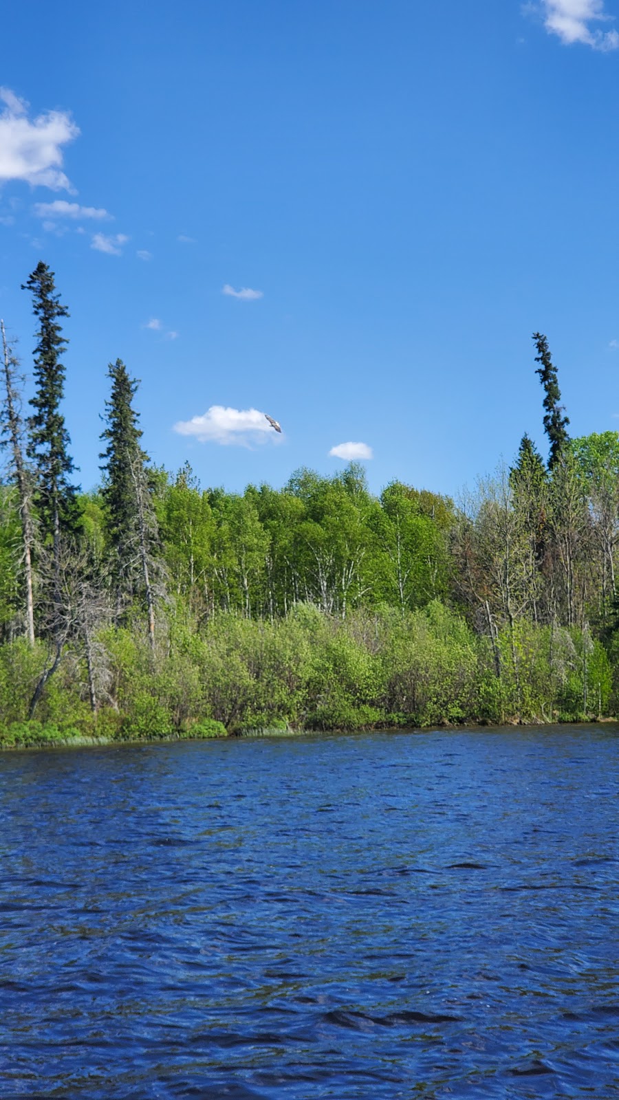 Atikaki Provincial Wilderness Park | Lac du Bonnet, MB R0E 1A0, Canada | Phone: (204) 471-6273