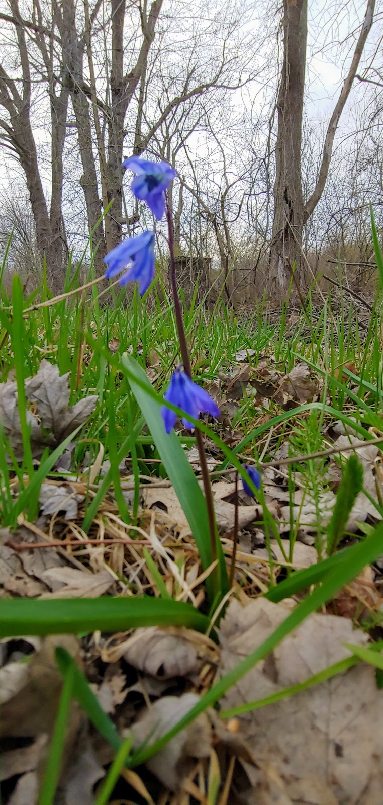 Point Abino Conservation Area | Fort Erie, ON L0S 1N0, Canada