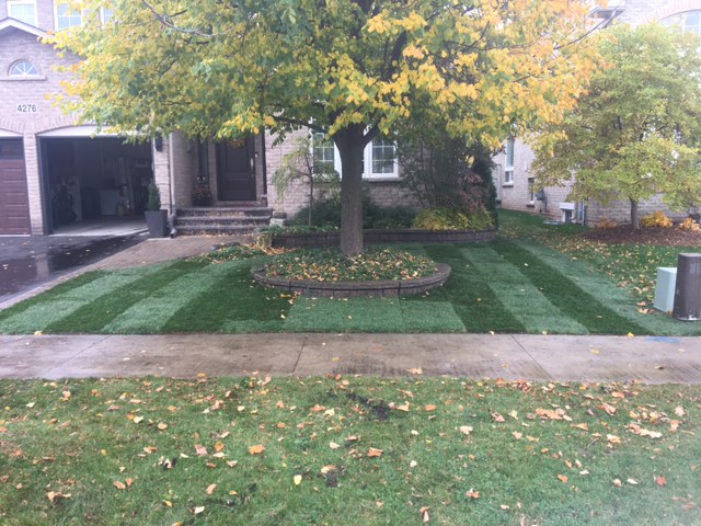 Emerald Lawncare & Landscaping | 48 Slater Ct, Waterdown, ON L0R 2H5, Canada | Phone: (905) 320-8996