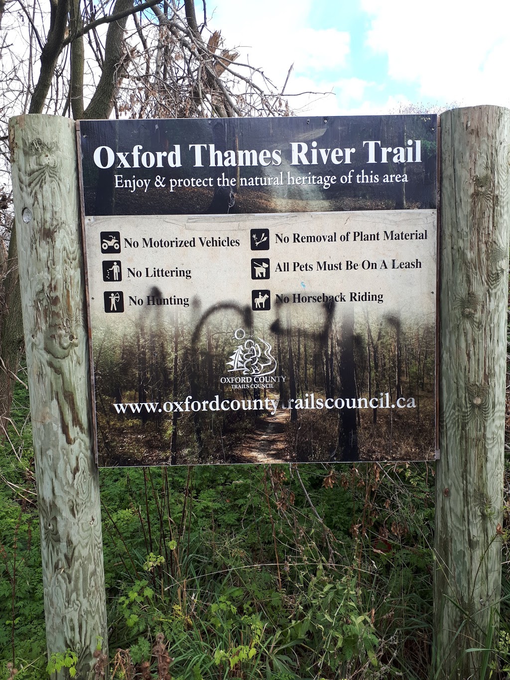 Oxford Thames River Trail | 454779 45 Line, Beachville, ON N0J 1A0, Canada