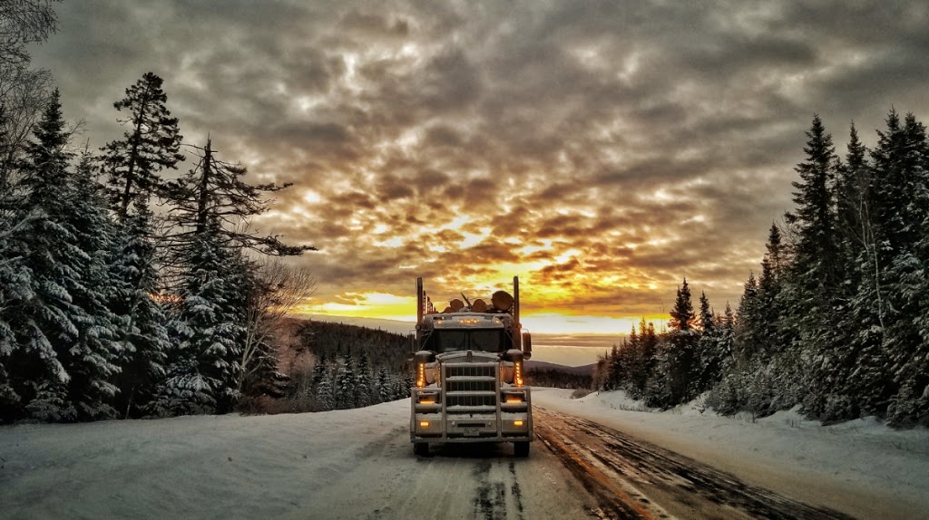 Mutch Trucking Ltd | 16 Shadow Lane, Sillikers, NB E9E 2R6, Canada | Phone: (506) 836-2779