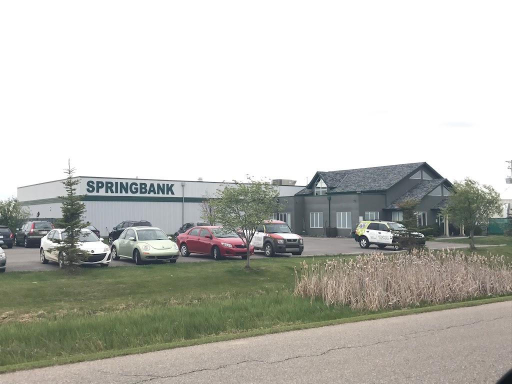 Springbank Pet Resort | 104 Commercial Ct, Calgary, AB T3Z 2A5, Canada | Phone: (403) 217-7387