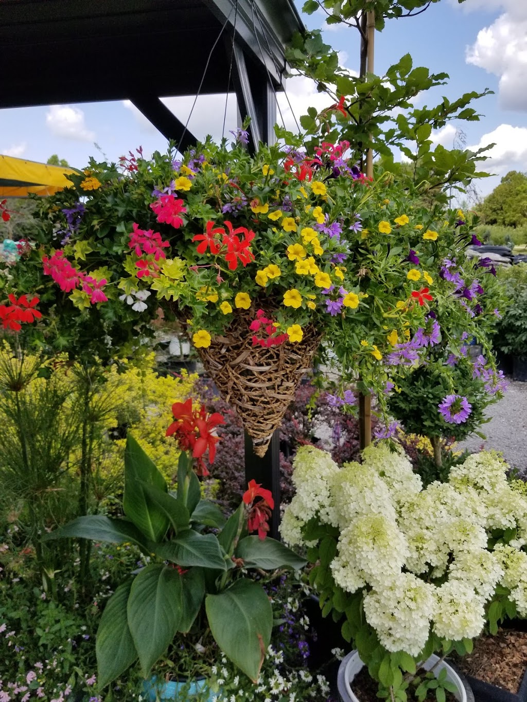 Silver Leaf Nursery and Garden Centre/ Landscaping | 5145 Kalar Rd, Niagara Falls, ON L2H 1T1, Canada | Phone: (289) 214-1967