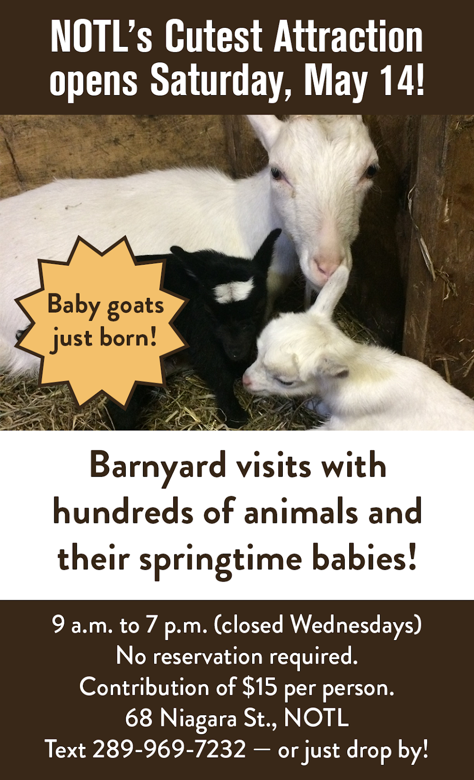 The Barnyard | 68 Niagara St, Niagara-on-the-Lake, ON L0S 1J0, Canada | Phone: (289) 969-7232