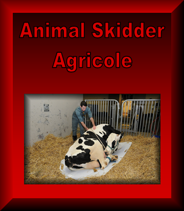 Animal Skidder | Avenue du Jardin, Saint-Marc-des-Carrières, QC G0A 4B0, Canada | Phone: (418) 268-3077