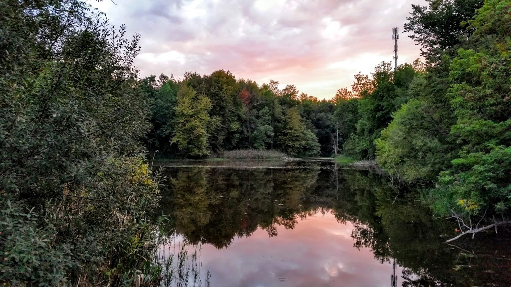 Great Baehre Conservation Park | 1005 Hopkins Rd, Buffalo, NY 14221, USA