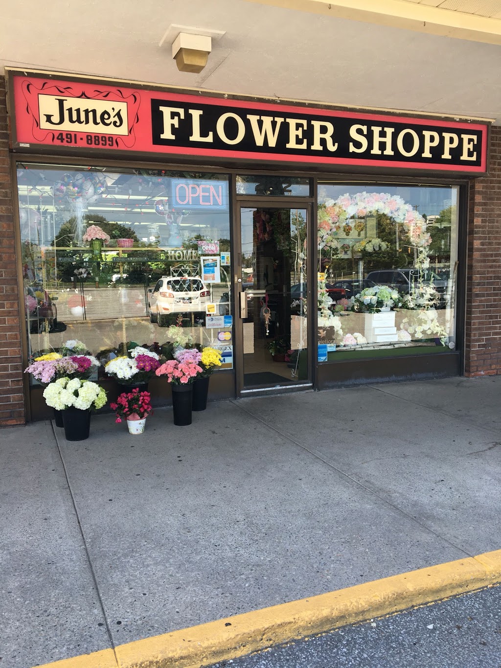 Junes Flower & Gift Shoppe | 2812 Victoria Park Ave, North York, ON M2J 4A8, Canada | Phone: (416) 491-8899