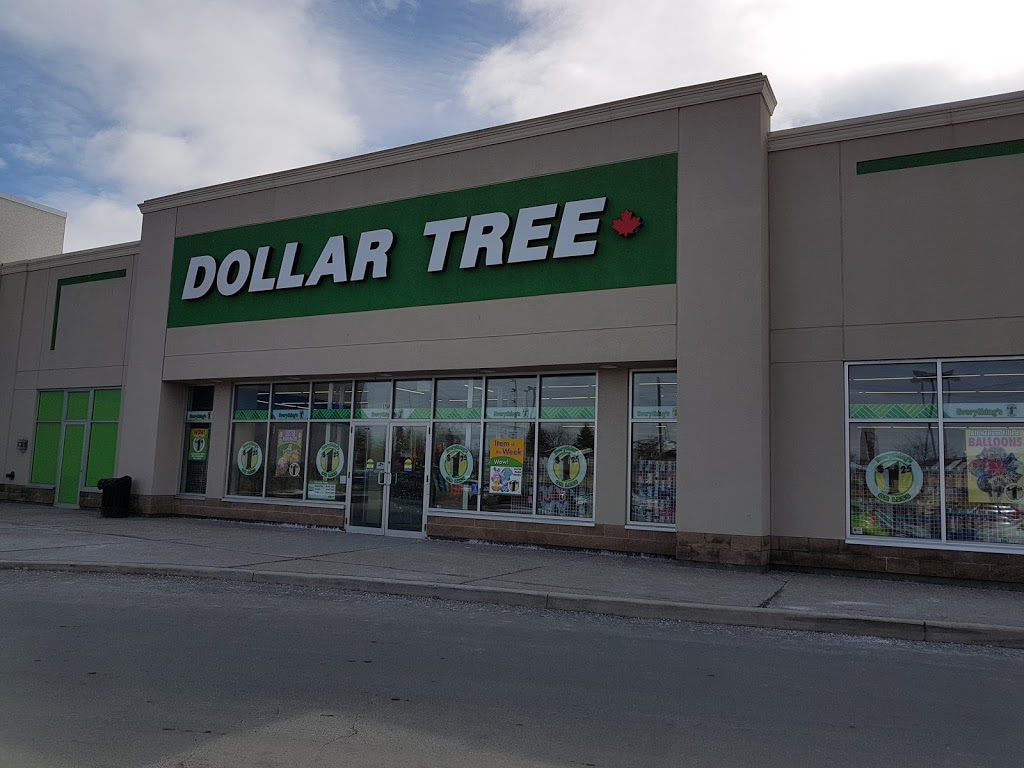 Dollar Tree | 1750 Innes Rd, Gloucester, ON K1B 3K5, Canada | Phone: (613) 741-2519