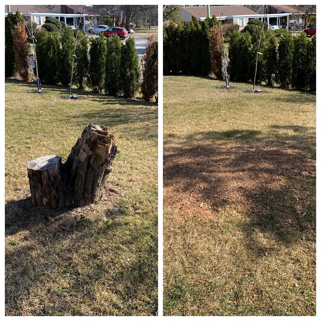 Stump King (Stump Removal Specialist) | 3381 Vernon Powell Dr, Oakville, ON L6H 0Y3, Canada | Phone: (416) 518-3152