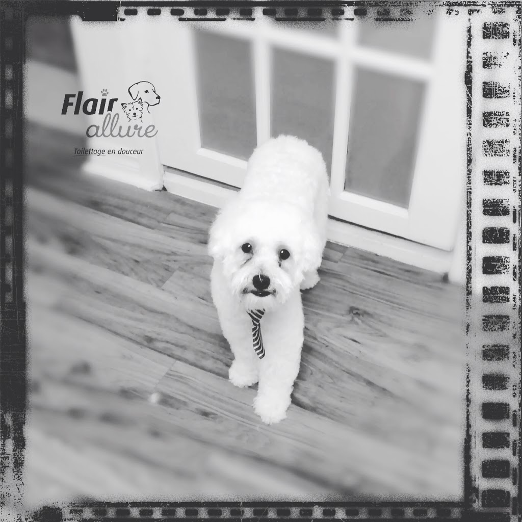 Flair Allure - Toilettage en douceur | 833 Rue DIberville, Boucherville, QC J4B 5E1, Canada | Phone: (514) 299-8784