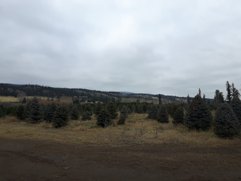 Woodward Christmas Tree Farm | 5505 Westsyde Rd, Kamloops, BC V2B 8N5, Canada | Phone: (250) 579-8739