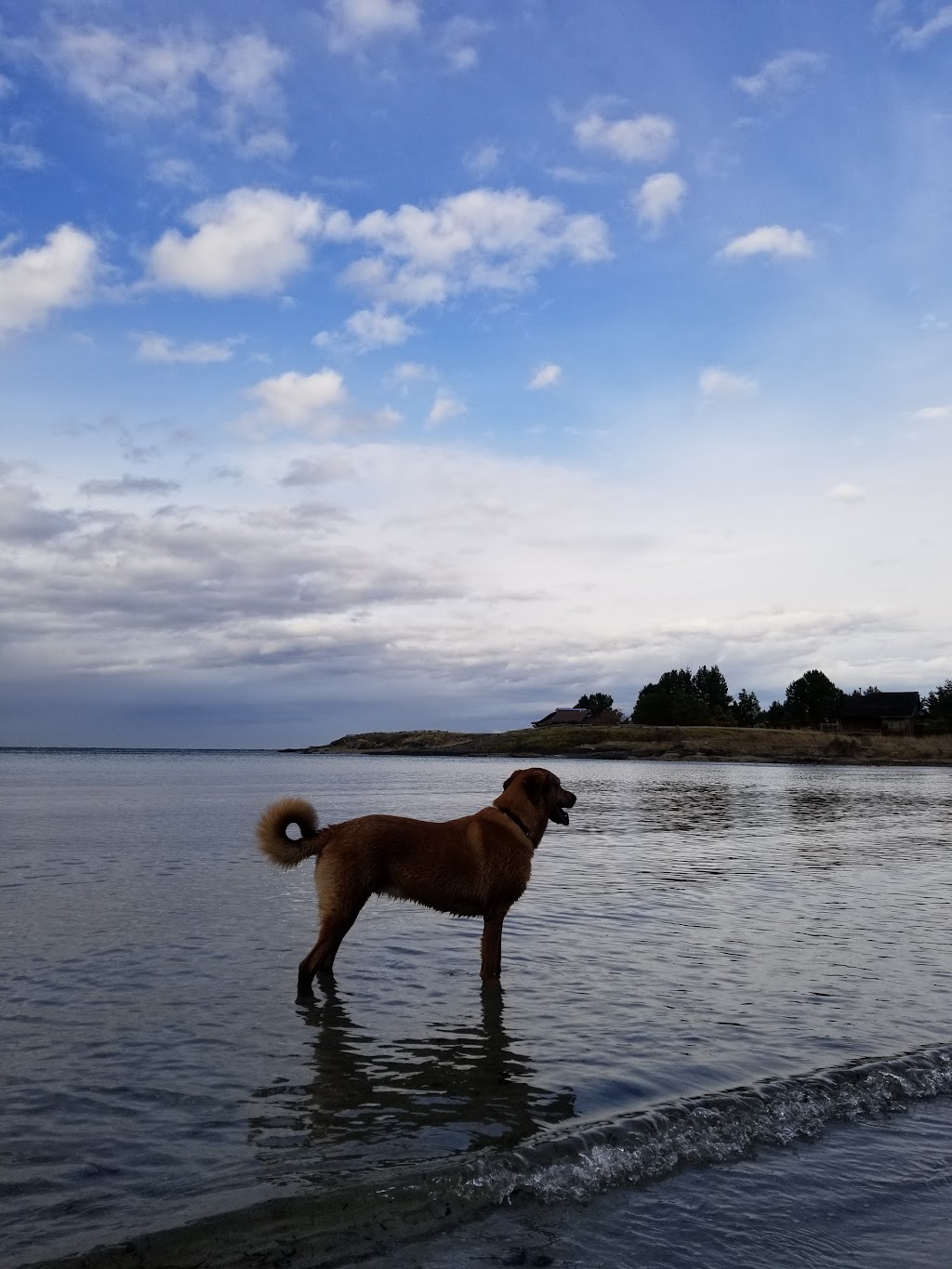 Hornby Island Resort | 4305 Shingle Spit Rd, Hornby Island, BC V0R 1Z0, Canada | Phone: (250) 335-0136