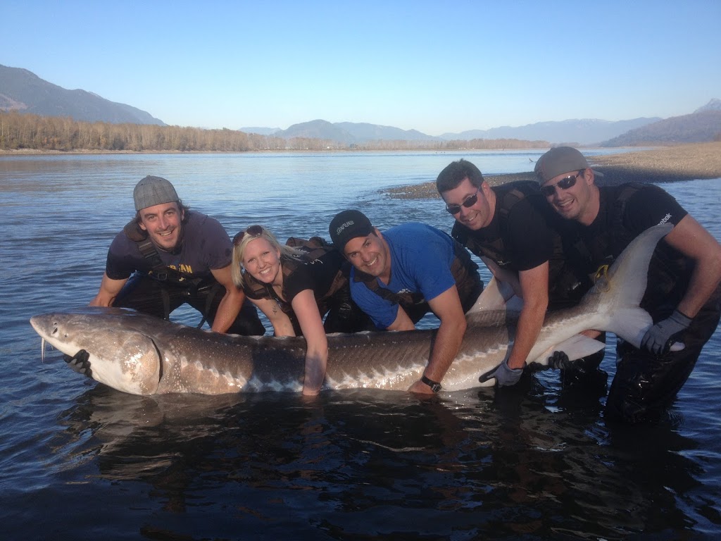 Tightline Fishing Adventures - Salmon SturgeonTrout Fishing | 49280 Bell Acres Rd, Chilliwack, BC V4Z 1C1, Canada | Phone: (604) 702-8224