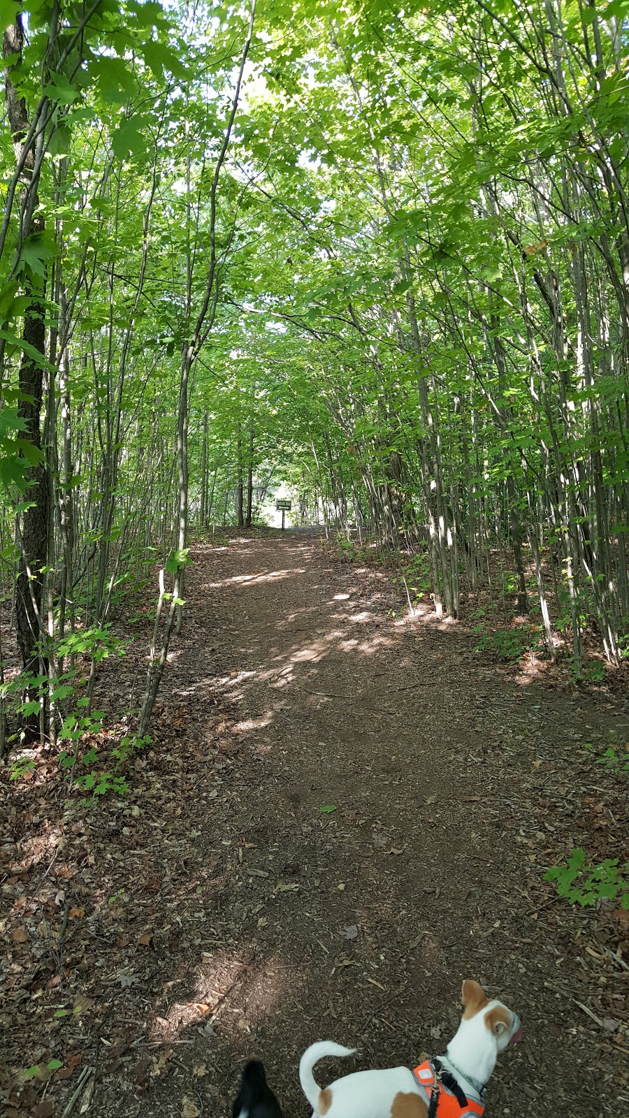 Creation Walk Nature Trail | 1400 Two Rod Rd, Marilla, NY 14102, USA | Phone: (716) 652-7429