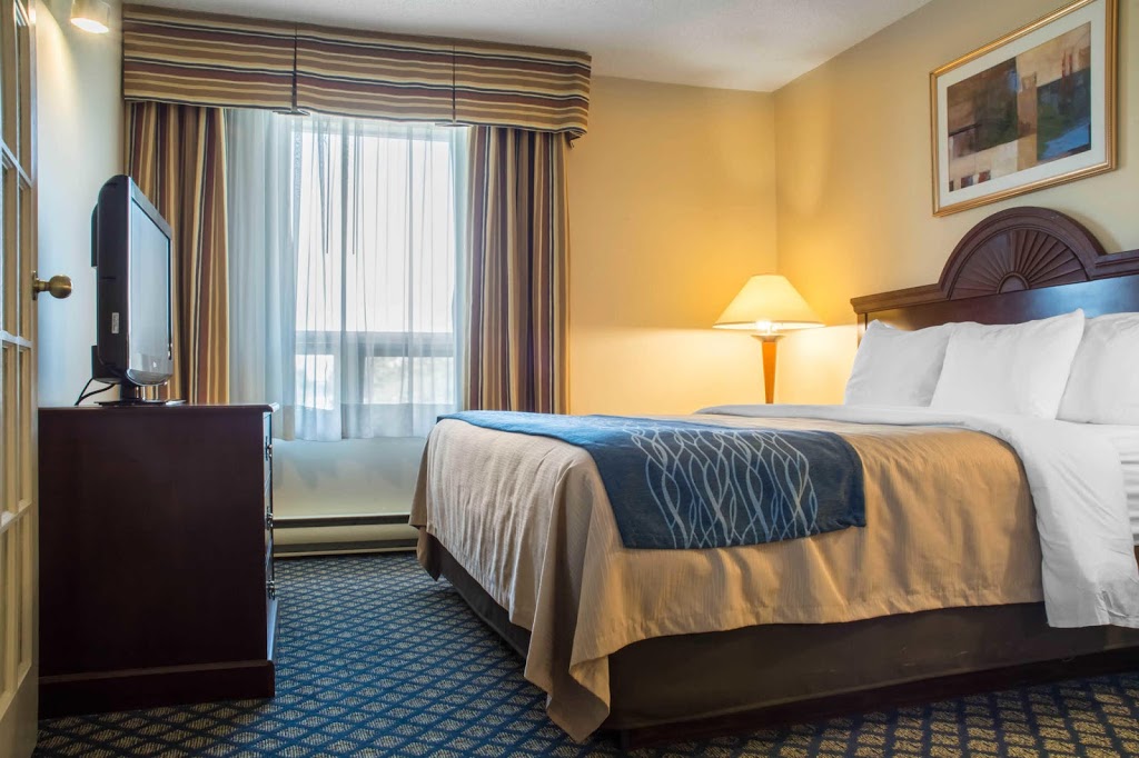 Comfort Inn & Suites | 20 Samnah Crescent, Ingersoll, ON N5C 3J7, Canada | Phone: (519) 425-1100