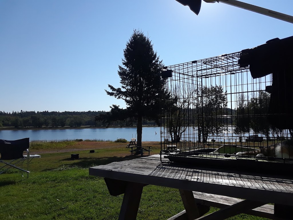 Chipman Waterfront Campground | 1S8, 311 Pleasant Dr, Chipman, NB E4A 1S6, Canada | Phone: (506) 476-2906