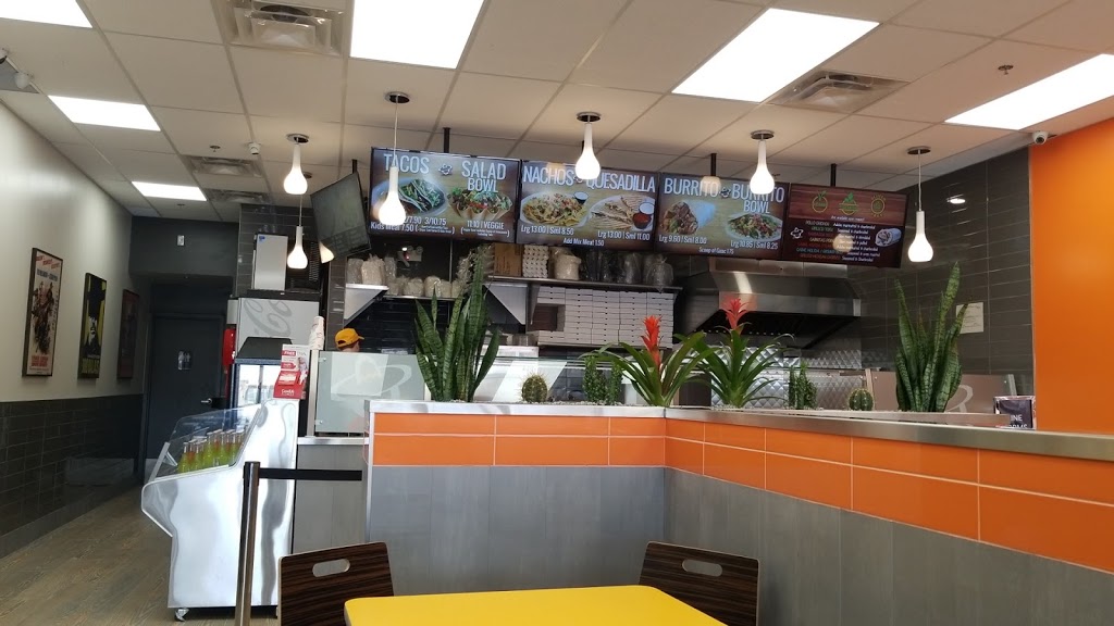 Burrito Gringo | 4235 Strandherd Dr, Nepean, ON K2J 5P8, Canada