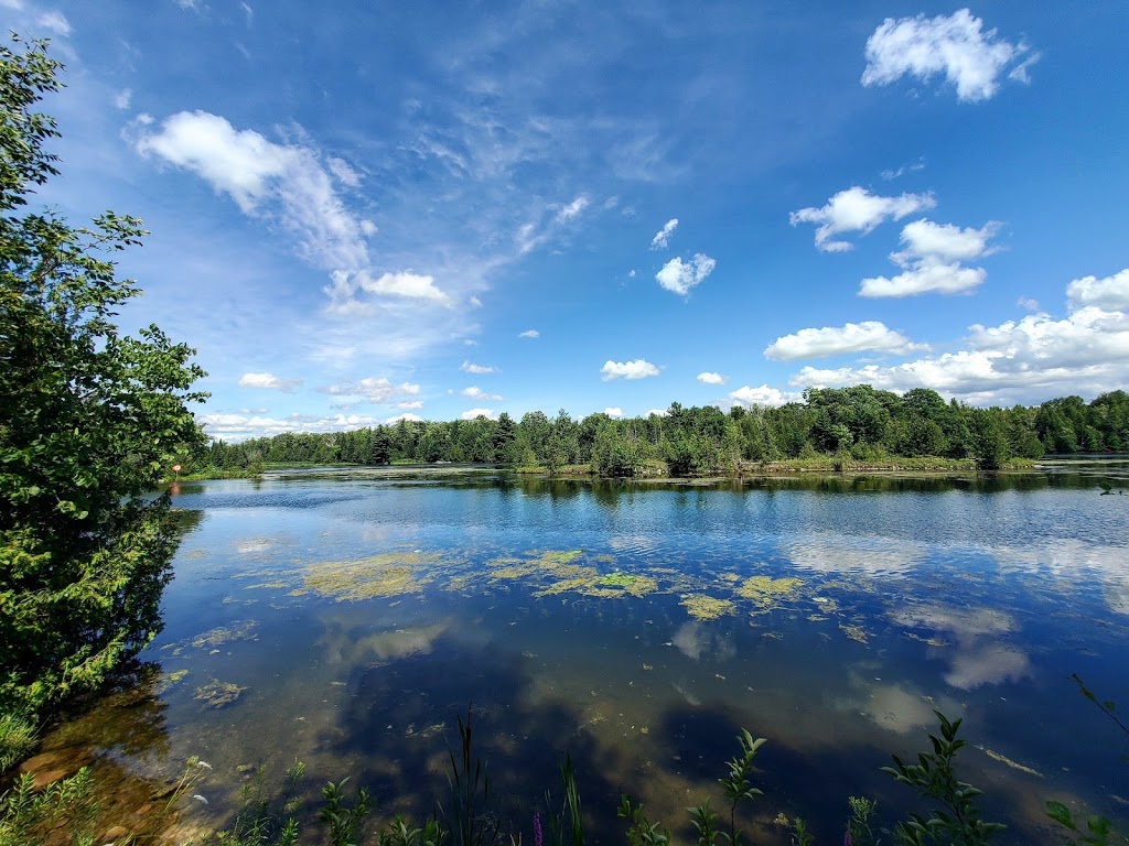 Trent University Nature Areas | 801 University Rd, Peterborough, ON K9J 6Y1, Canada | Phone: (705) 748-1011