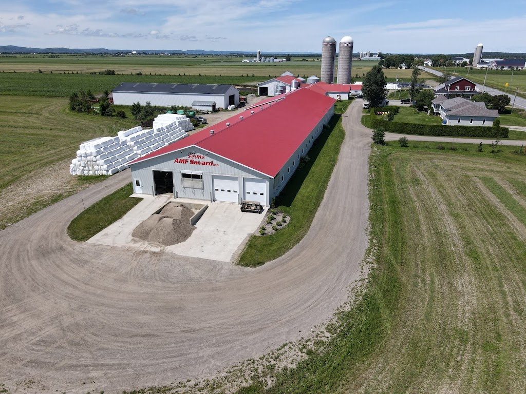 Ferme AMF Savard inc | 923 Rang Caron, Hébertville, QC G8N 1B5, Canada | Phone: (418) 669-0299