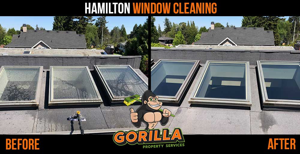 Gorilla Property Services | 2-558 Upper Gage Ave Ste 119, Hamilton, ON L8V 4J6, Canada | Phone: (905) 963-9059