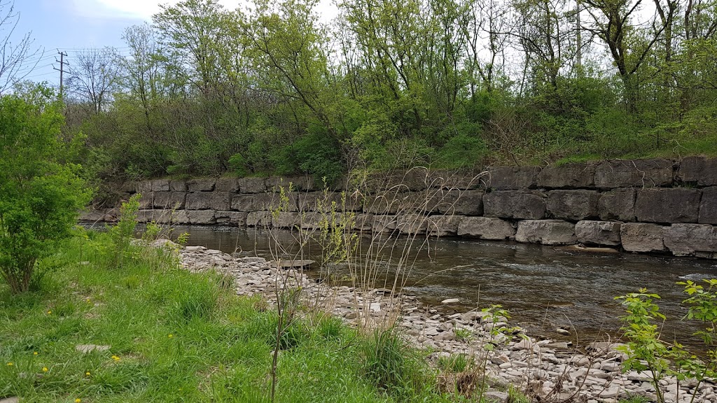 Etobicoke Creek Offleash Dog Park | South of Dundas, Southcreek Rd, Mississauga, ON L4X 1L9, Canada