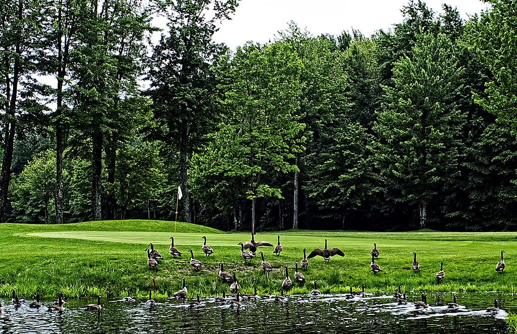 Vercheres Golf Club Inc. | 250 Montée du Moulin, Verchères, QC J0L 2R0, Canada | Phone: (450) 583-3319