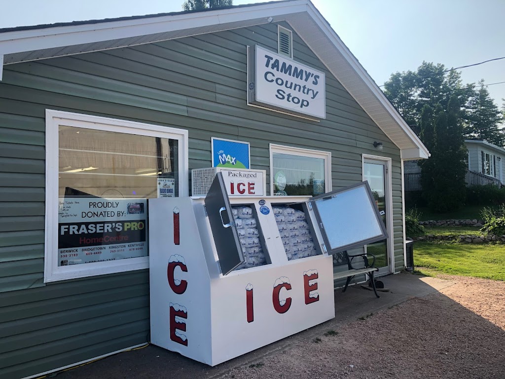 Spring Water Ice Inc / Party Ice | 17 Murdock MacKay Ct #101, Lower Sackville, NS B4C 4G3, Canada | Phone: (902) 423-7711