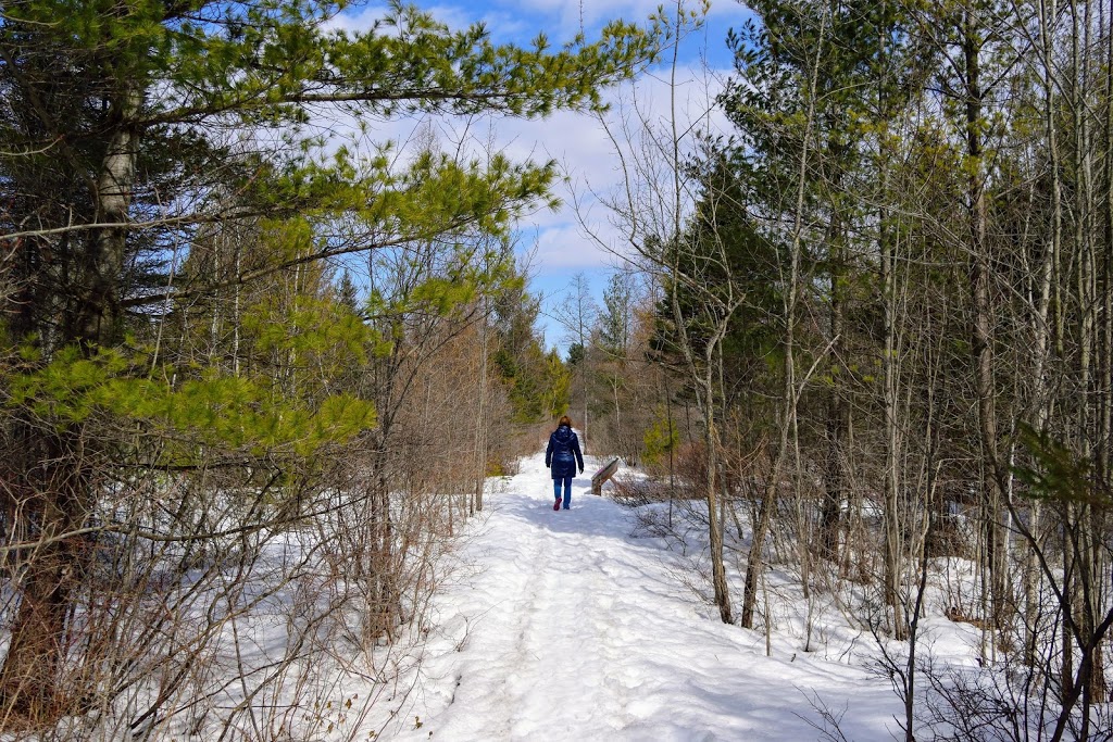 Parc naturel de la Tourbière-Du-Bordelais | Saint-Lazare, QC J7T 2E3, Canada | Phone: (450) 424-8000