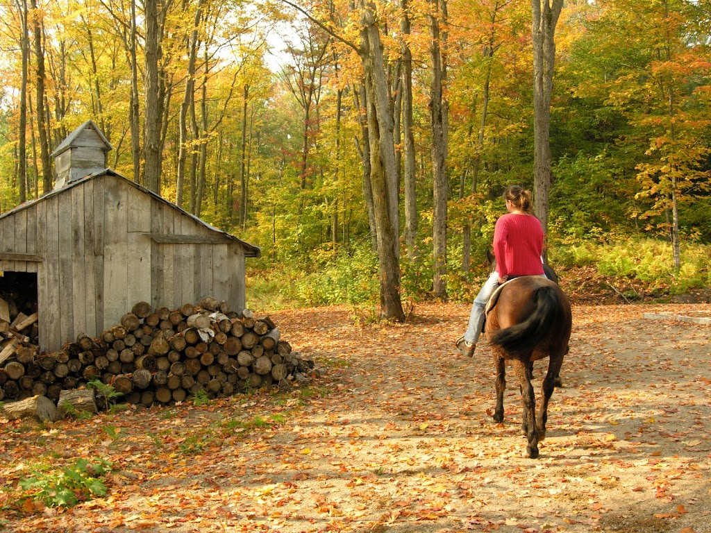 Écurie Le Baluchon | 3550 Chem. des Trembles, Saint-Paulin, QC J0K 3G0, Canada | Phone: (819) 268-2555