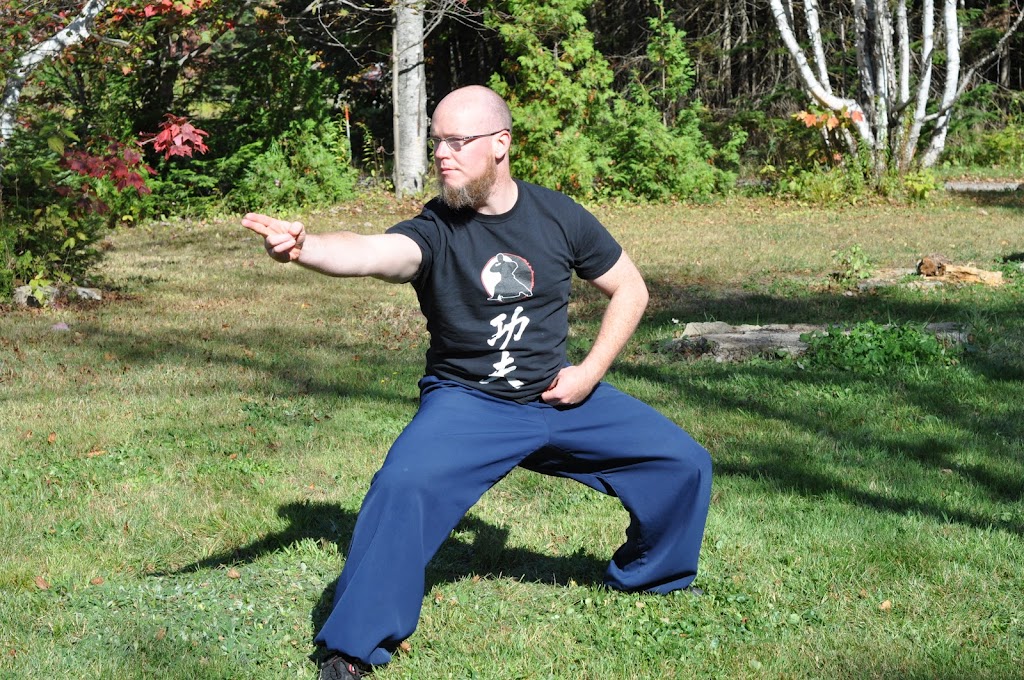 Wudang Principles Québec | 616 Rue Saint-Vallier O, Québec, QC G1N 2M9, Canada | Phone: (418) 933-9298