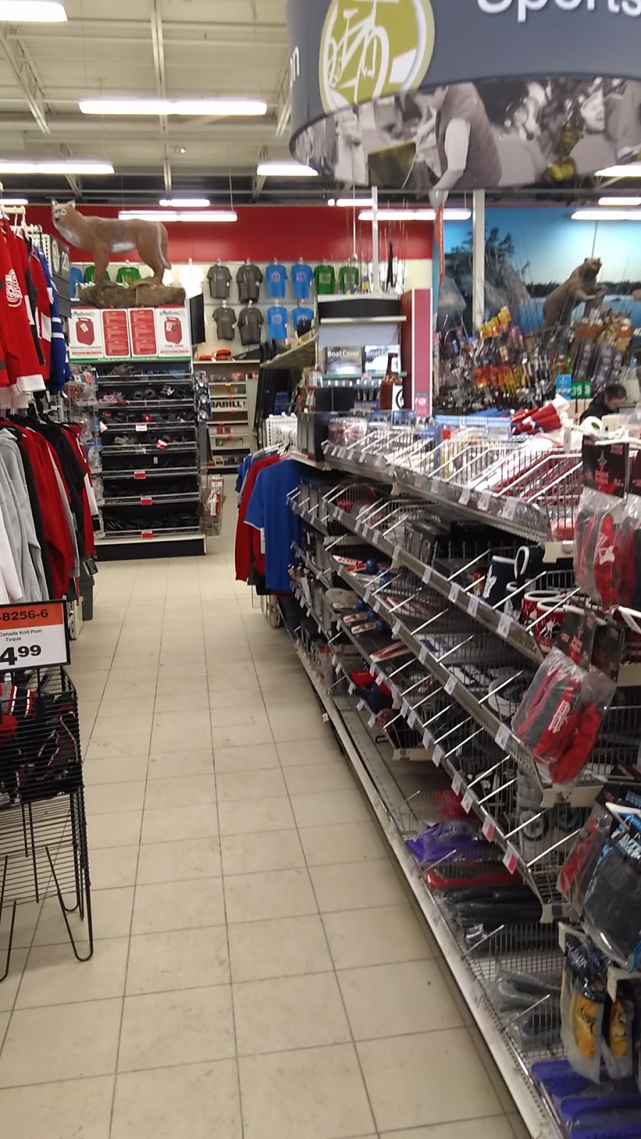 Canadian Tire | 45 Dufferin St, Perth, ON K7H 3A5, Canada | Phone: (613) 267-3412