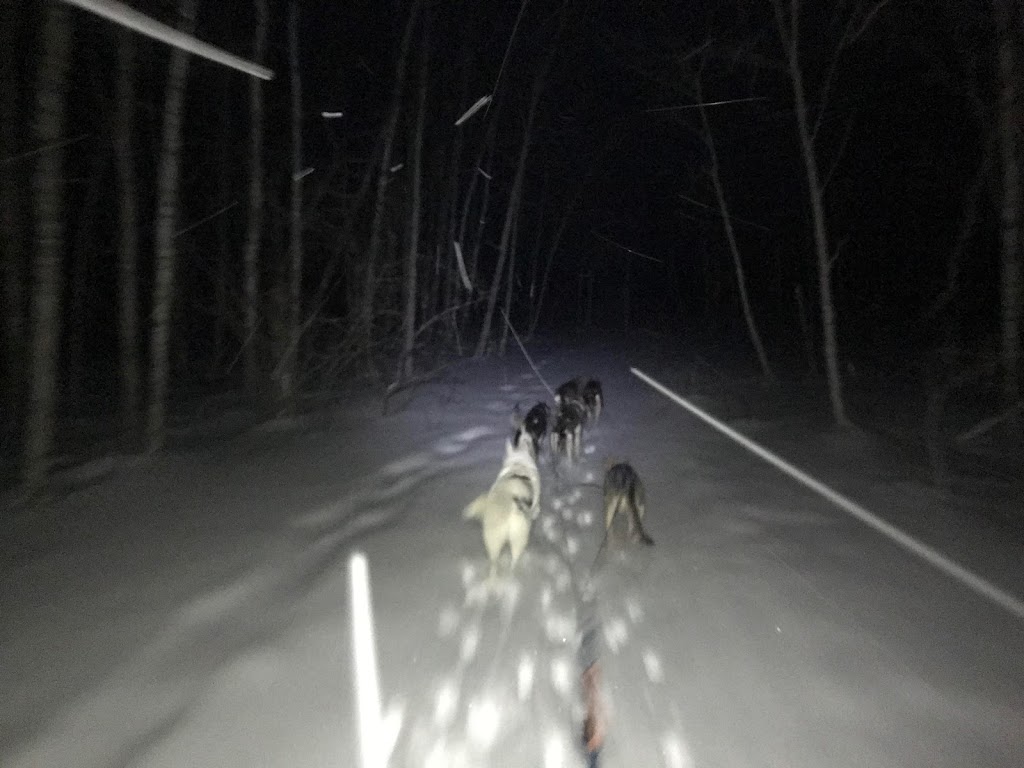 Keystone Sled Dogs | Keystone Sled Dogs, Teulon, MB R0C 3B0, Canada | Phone: (204) 960-2878