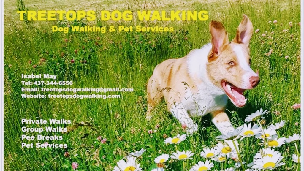 Treetops Dog Walking | 77 Willoughby Way N, Alliston, ON L9R 0P4, Canada | Phone: (437) 344-6556