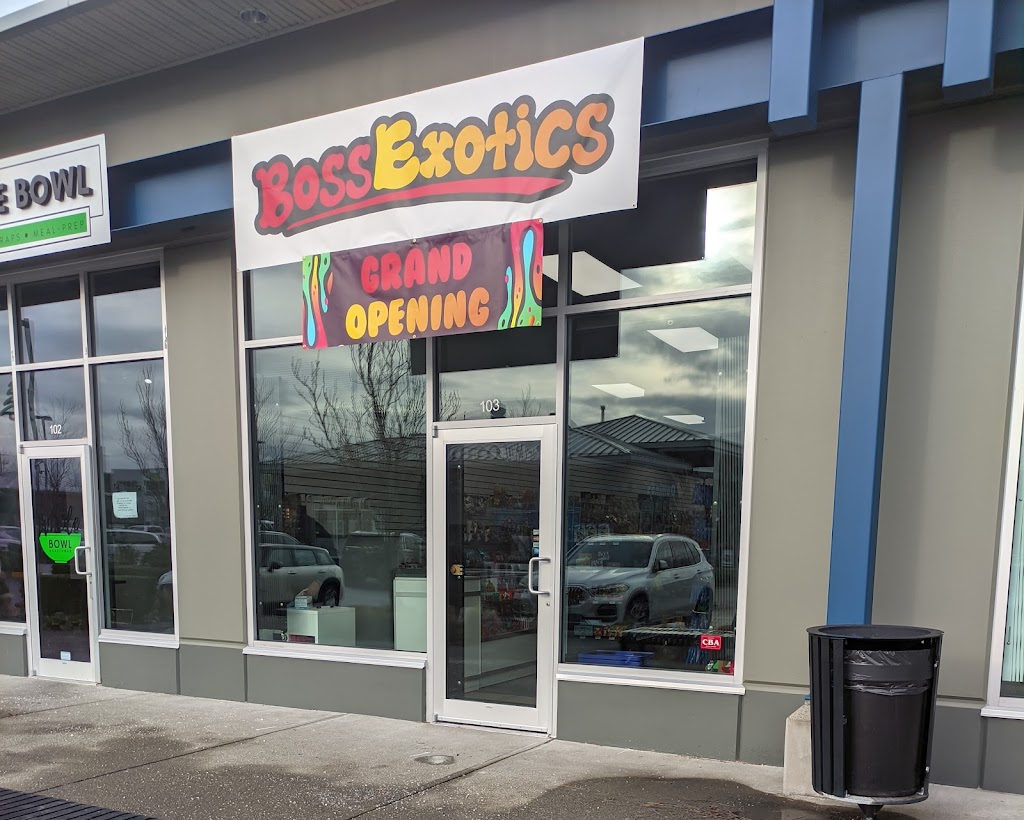 Boss Exotics Surrey | 15345 56 Ave Unit# 103, Surrey, BC V3S 0X9, Canada | Phone: (778) 574-1250