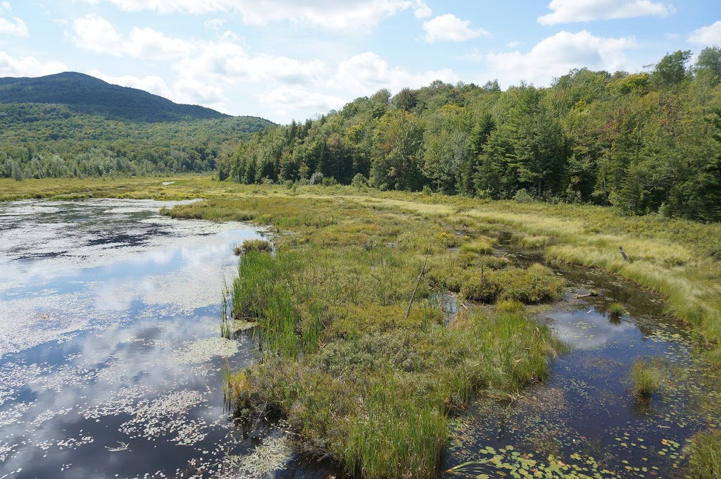 Mont-Orford National Park | 3321 Chemin du Parc, Orford, QC J1X 7A2, Canada | Phone: (800) 665-6527