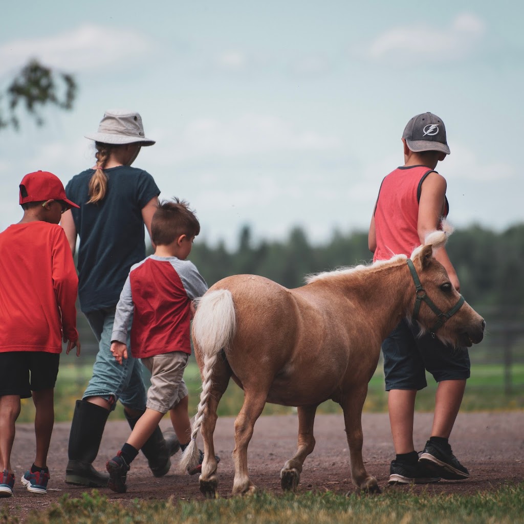 Ferme GIJAMIKA | 214 Rang de lEmbarras, Kamouraska, QC G0L 1M0, Canada | Phone: (418) 492-5304