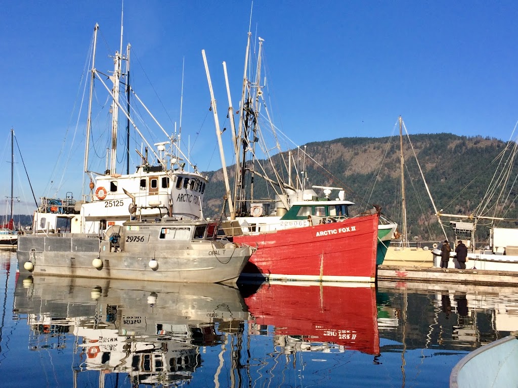 Cowichan Bay Fishermens Wharf Assn | 1699 Cowichan Bay Rd, Cowichan Bay, BC V0R 1N0, Canada | Phone: (250) 746-5911