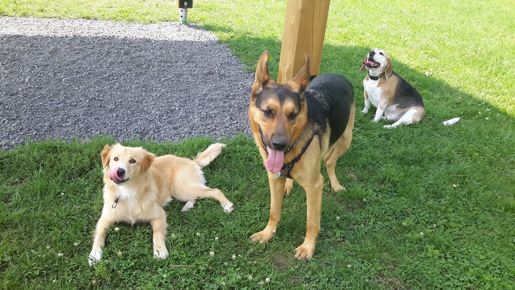 Parc canin Dog Park | 550 Notre Dame St, Russell, ON K4R 1E5, Canada | Phone: (613) 443-3066