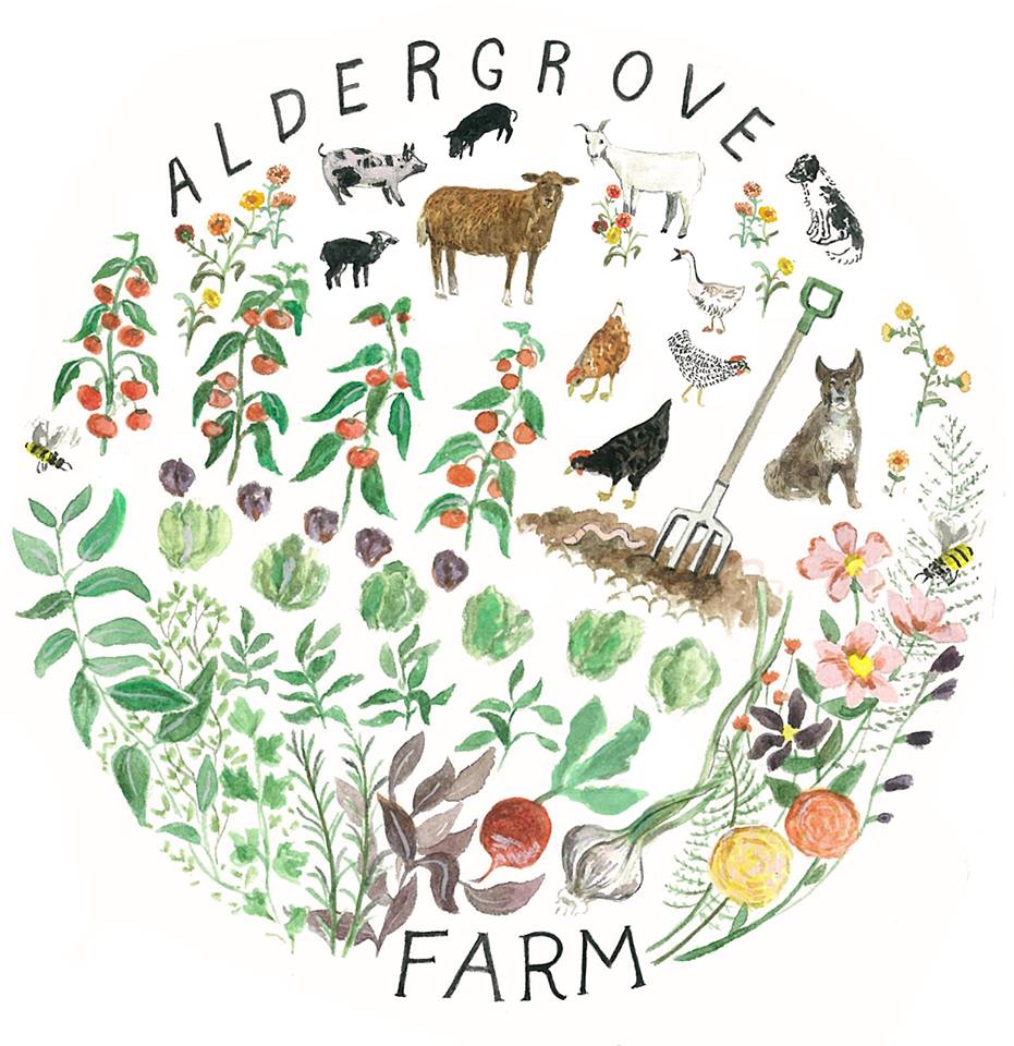Aldergrove Farm | 211537 Baseline Rd, Mount Forest, ON N0G 2L0, Canada | Phone: (647) 927-8763