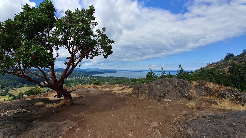 Mt Douglas Summit Parking Lot | Churchill Dr, Saanich, BC V8X 3S8, Canada