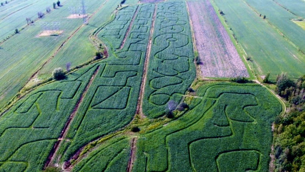 Labyrinthe Galaxie | 30 Mnt des Quarante-Deux, Sainte-Julie, QC J3E 1Y1, Canada | Phone: (450) 649-1777