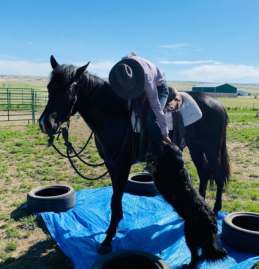 3R Horsemanship | Twp Rd 4-0 175045, Warner, AB T0K 2L0, Canada | Phone: (403) 795-2842