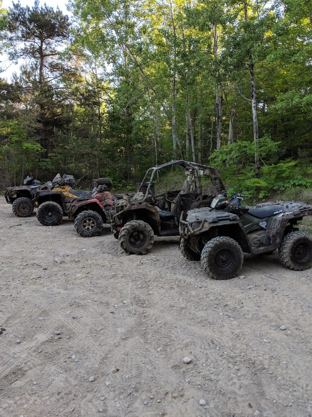 Hendrie Forest | Minesing, ON L0L 1Y0, Canada