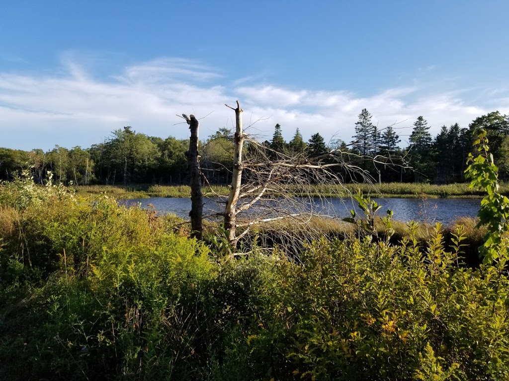 McIntosh Run Community Trail | 614 Herring Cove Rd, Halifax, NS B3R 1X6, Canada