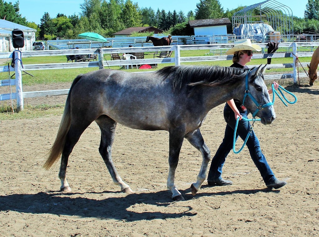 Hawkstone Stables | Devonshire Grove, 51210 Range Rd 270, Spruce Grove, AB T7Y 1G7, Canada | Phone: (780) 243-6882