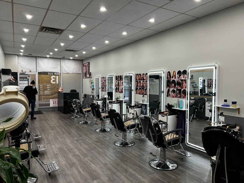 New Hair In | 1371 Lawrence Ave W, Toronto, ON M6L 1A4, Canada | Phone: (647) 748-8088