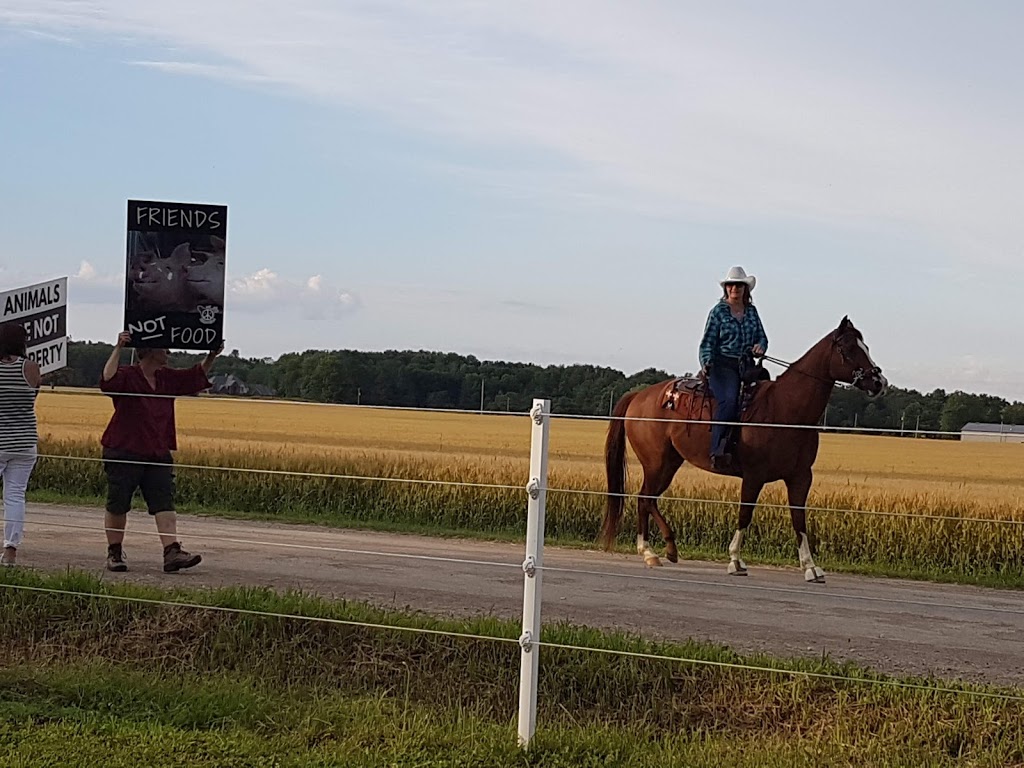 Calhoun Stables | 1590 Durant Rd, Breslau, ON N0B 1M0, Canada | Phone: (519) 664-0636